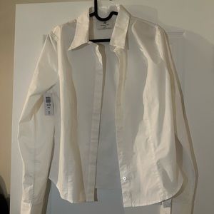 ARITZIA- white fitted button down